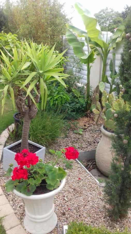 Chambres D'Hotes La Rose Des Sables Les Herbiers Luaran gambar